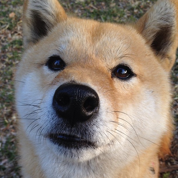 乐鱼体育-《明星主播助力赛事：直播互动引爆现场氛围》，主播联赛明星专场视频