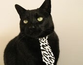 《明星战队盘点:谁才是真正的王者?》,明星战队英文