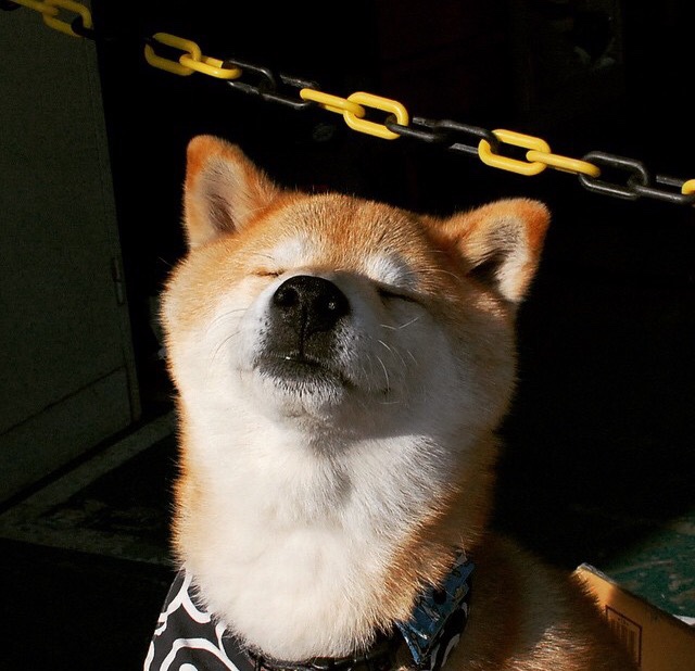 乐鱼体育登录-各国选手竞技水平不断提升，别的国家选手都是选的一些顶级