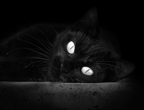 乐鱼电竞在线平台登录入口-各地篮球城规划加速，打造多层次公共体育空间，篮球主题公园