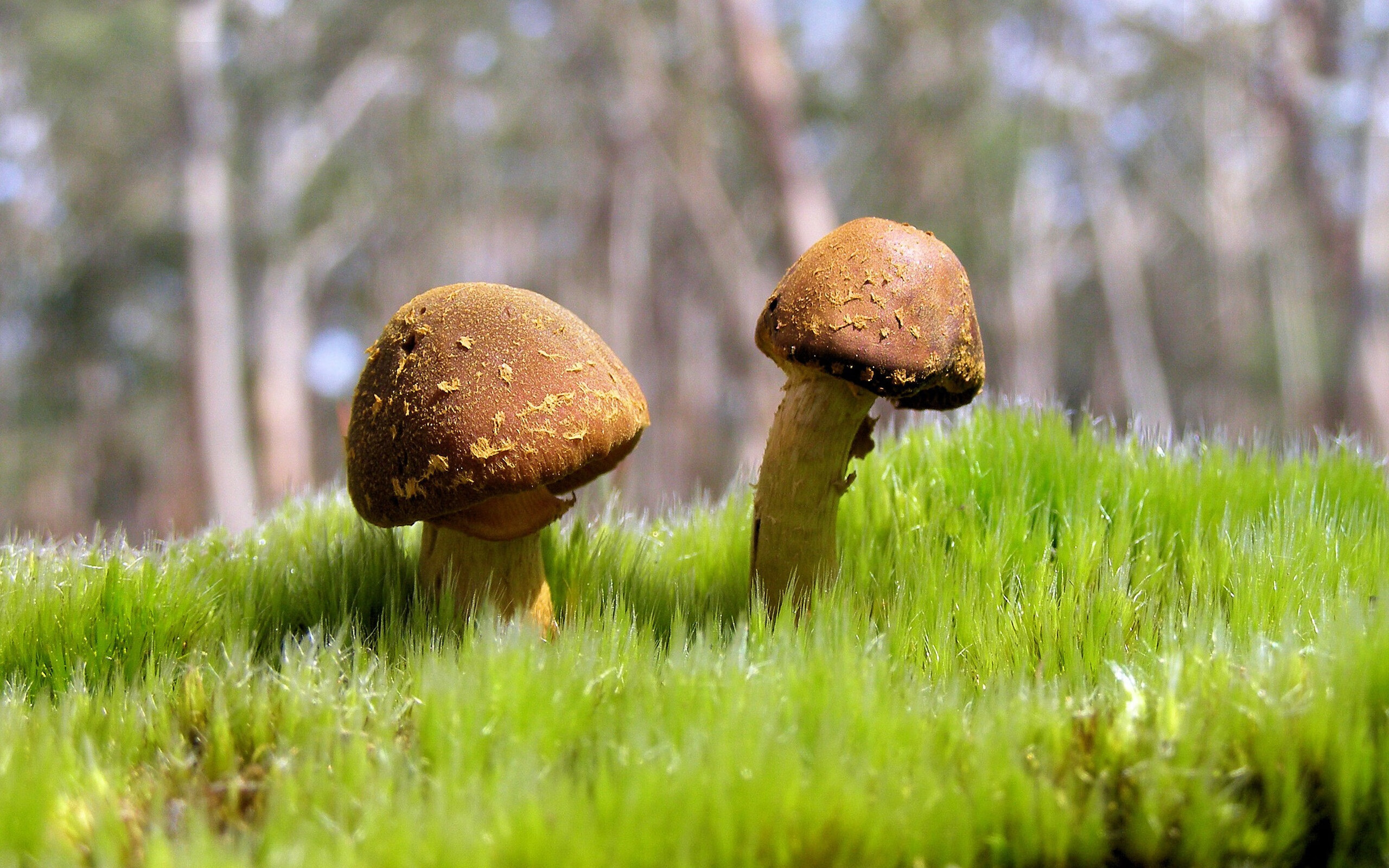 LeyuSports-神级扑救：门将的英雄时刻盘点，惊艳全场，门将神级扑救视频合集