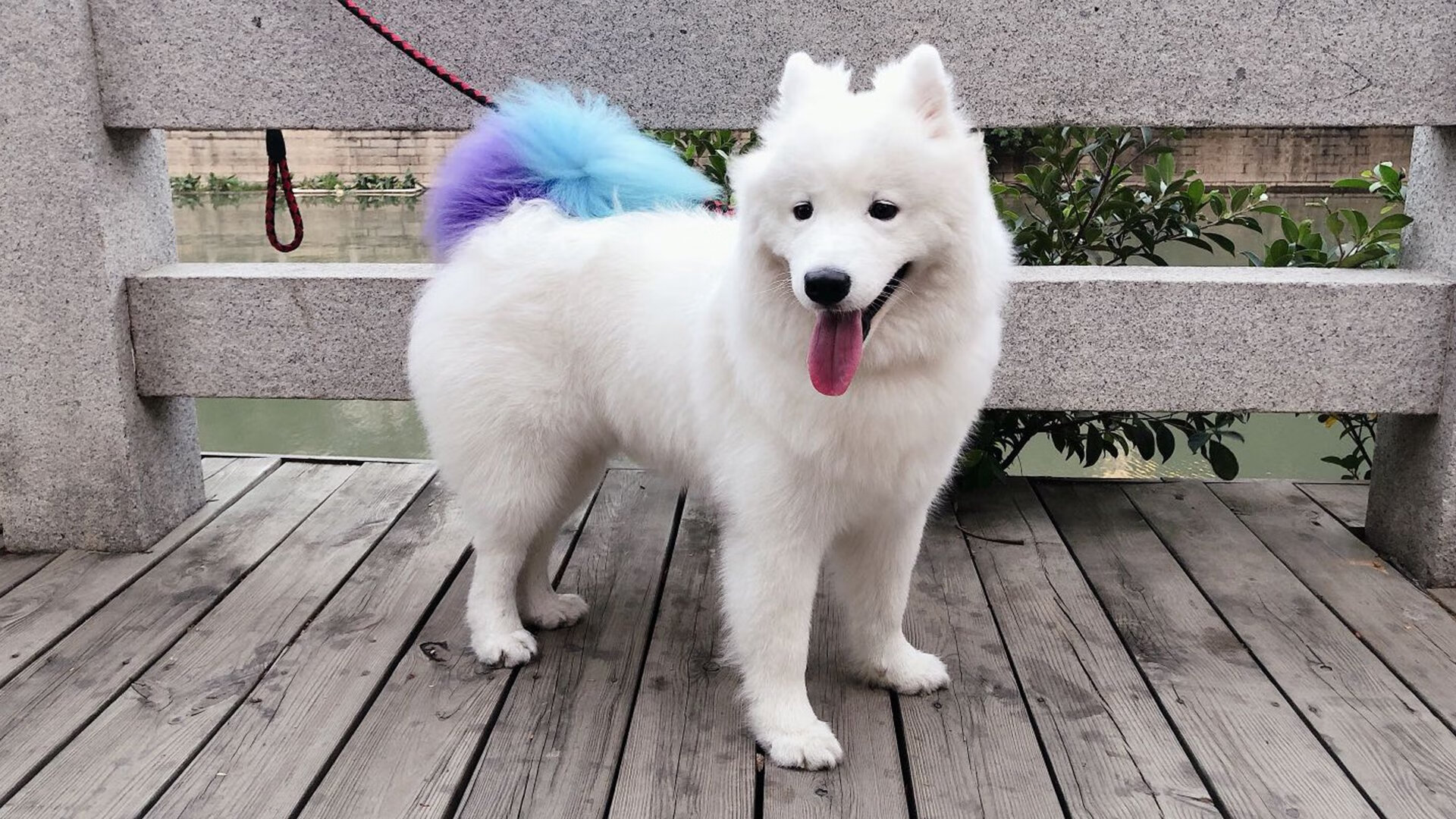 乌克兰对阵北马其顿，决战欧锦赛资格，乌克兰对北马其顿比赛