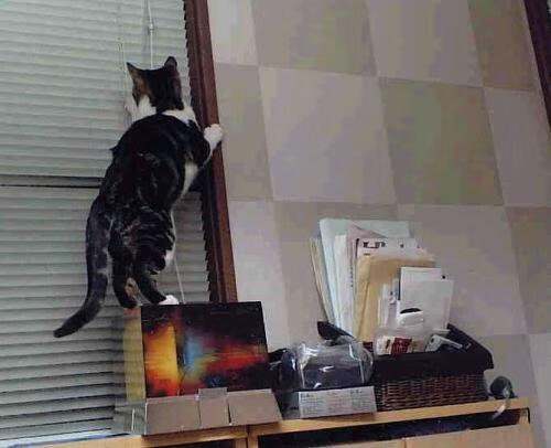 乌克兰战胜瑞典，晋级欧国亚军赛，乌克兰对瑞典比赛结果