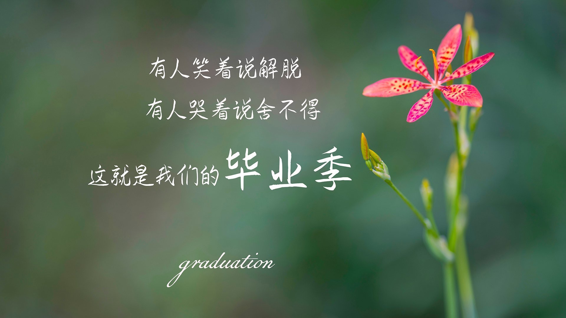 战火燃烧:球场上的对决激情四射,无人能挡,yy战火燃烧