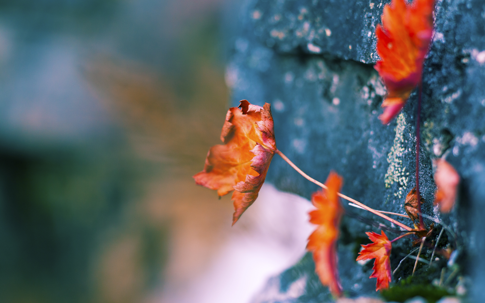 leyu乐鱼体育综合-森林狼逆转太阳，系列赛焦点战中爱德华兹双手暴扣点燃全场，森林狼队爱德华兹