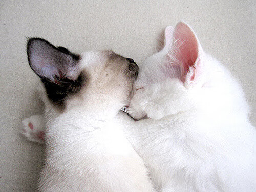 LEYU SPORTS中国官方网站-河南男篮惨败浙江，遗憾终结赛季，河南男篮队员名单