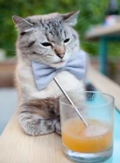 联赛严格要求,球场人员规范行为,球队的合格参赛球员