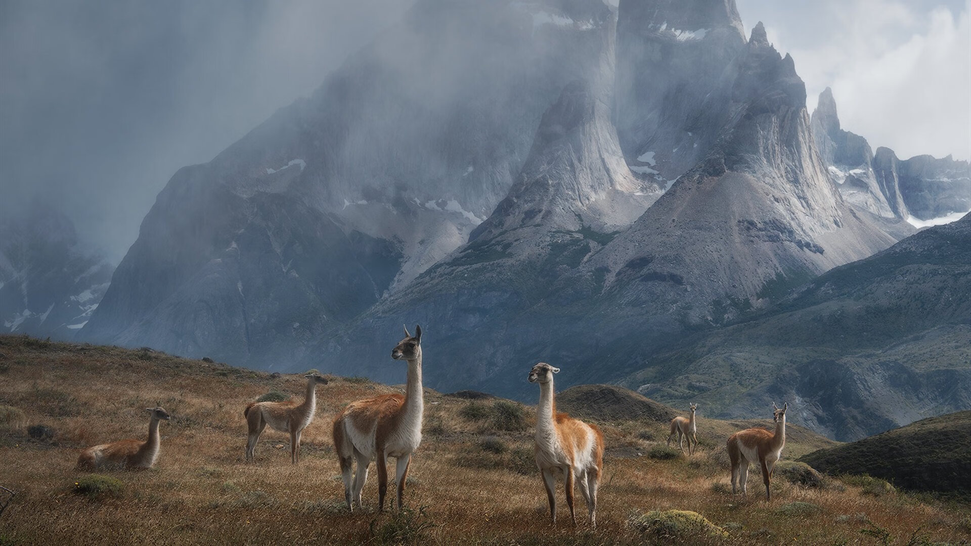 leyu乐鱼官网登录入口-传统豪门的崛起：新赛季的复苏故事，豪门崛起重