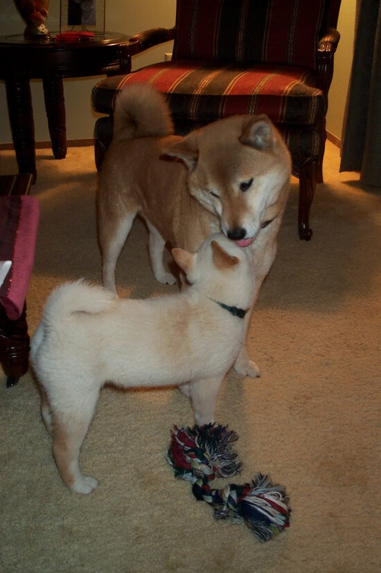 乐鱼电竞在线平台-中路控球突破能力是否已成战术体系不可或缺因素，中场控球视频