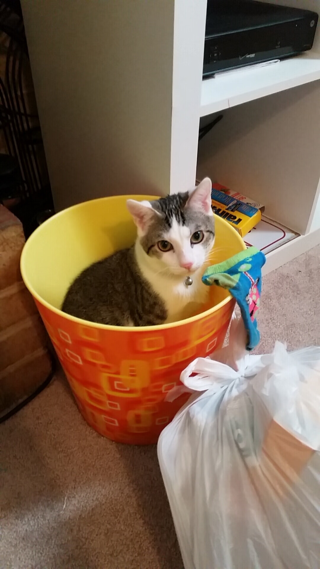 国家队年轻化是否只是表面现象,国家青年队年龄要求