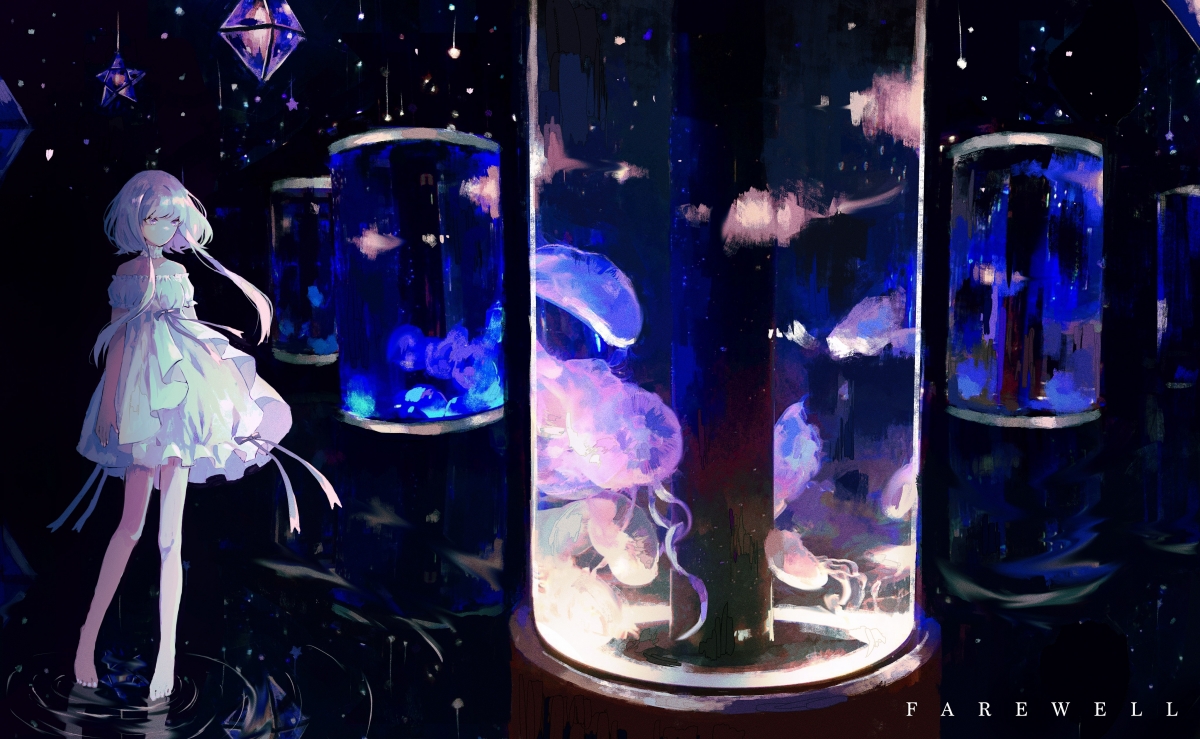 青少年橄榄球日益流行,澳大利亚培养新生代球员,橄榄球澳洲